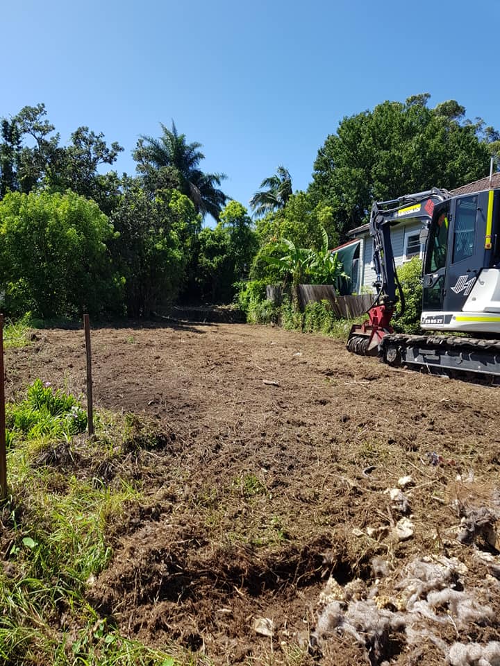 Tree Removal - Bellingen