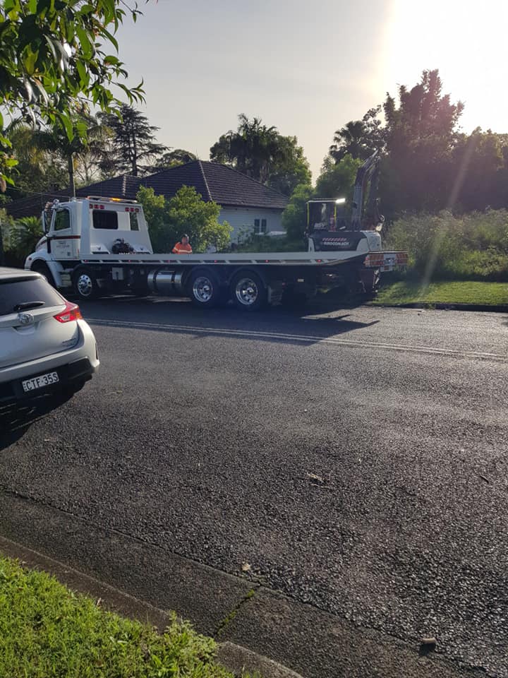 Tree Removal Services