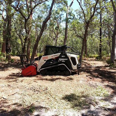 Woodchipping Tuggerah, Tree Removal Woy Woy, Stump Grinding Central Coast, Land Clearing Gosford, Tree Surgery Newcastle, Fence Line Clearing Central Coast